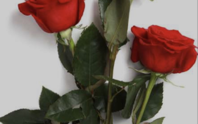February – Chuck and Cindy Rainville