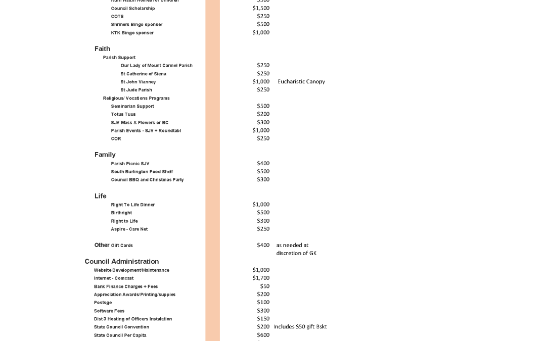 2024-2025 Council Budget