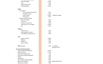 2024-2025 Council Budget